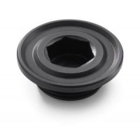 KTM Ignition Cover Plug