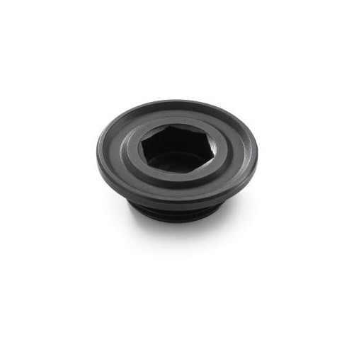 KTM Ignition Cover Plug