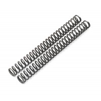 WP Fork Spring Set OEM
