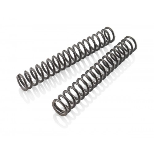 WP Fork Spring Set