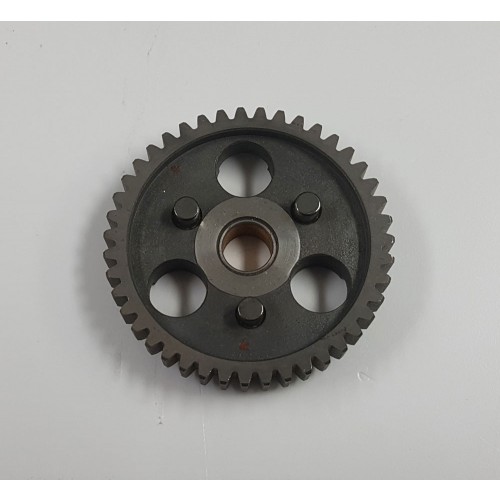 Suzuki Primary Gear