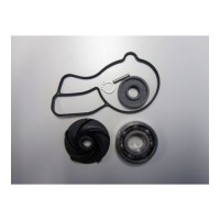 KTM Water Pump Repair Kit