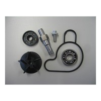 KTM Water Pump Repair Kit