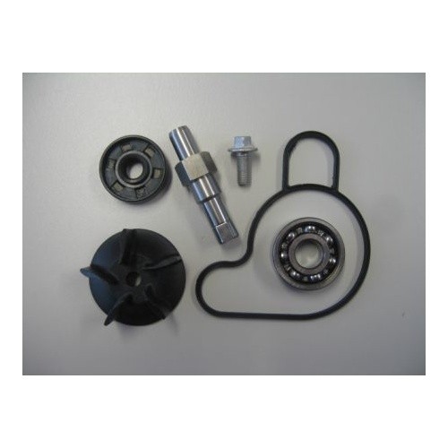 KTM Water Pump Repair Kit